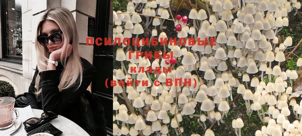 прущая мука Алексин